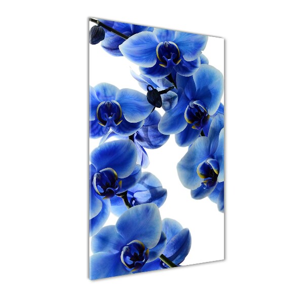 Quadro in vetro acrilico verticale Orchidea blu
