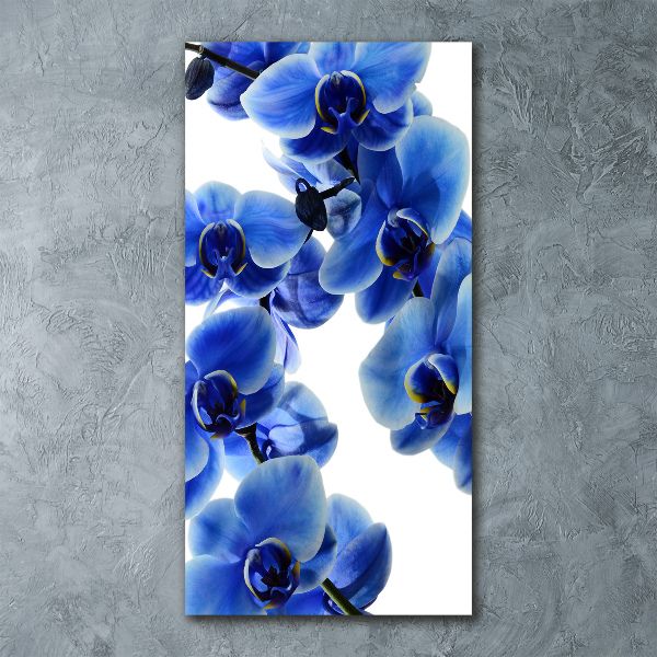 Quadro in vetro acrilico verticale Orchidea blu