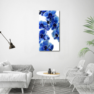Quadro in vetro acrilico verticale Orchidea blu