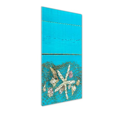 Quadro acrilico verticale Conchiglie e stelle marine