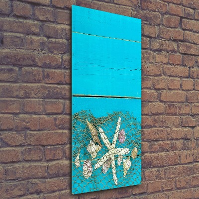 Quadro acrilico verticale Conchiglie e stelle marine