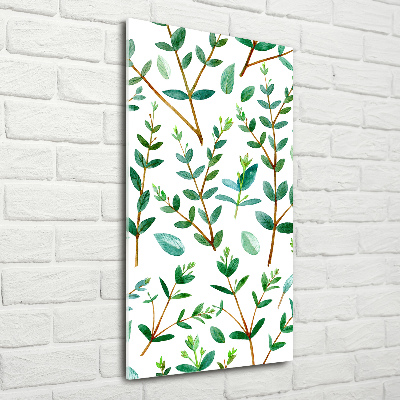 Quadro vetro acrilico verticale Rami di eucalipto