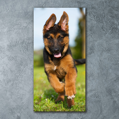 Quadro vetro acrilico verticale Pastore tedesco