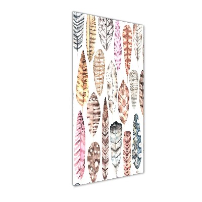 Quadro vetro acrilico verticale Piume colorate