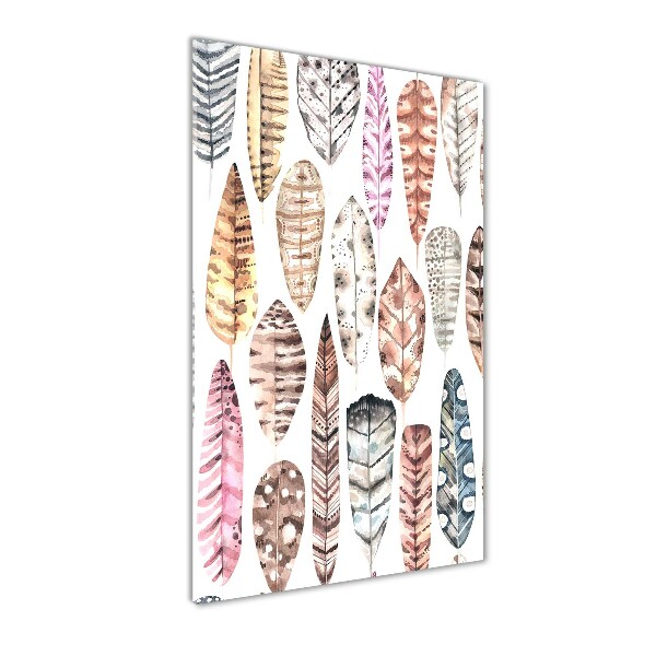 Quadro vetro acrilico verticale Piume colorate