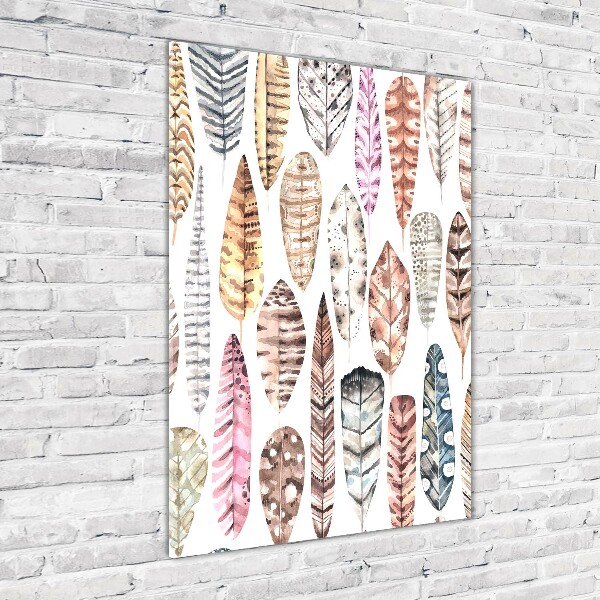 Quadro vetro acrilico verticale Piume colorate