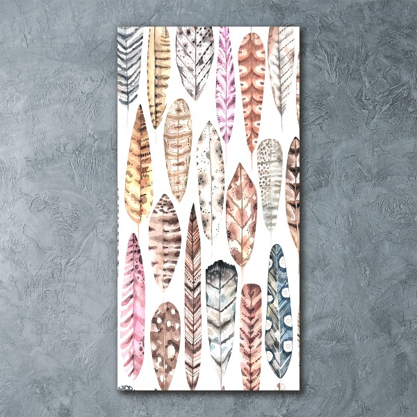 Quadro vetro acrilico verticale Piume colorate