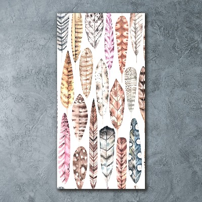 Quadro vetro acrilico verticale Piume colorate