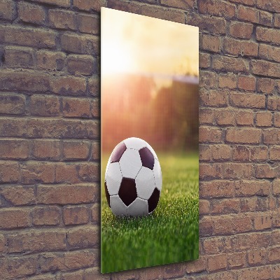 Quadro acrilico verticale Calcio