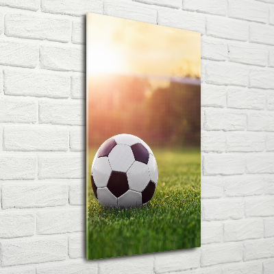 Quadro acrilico verticale Calcio