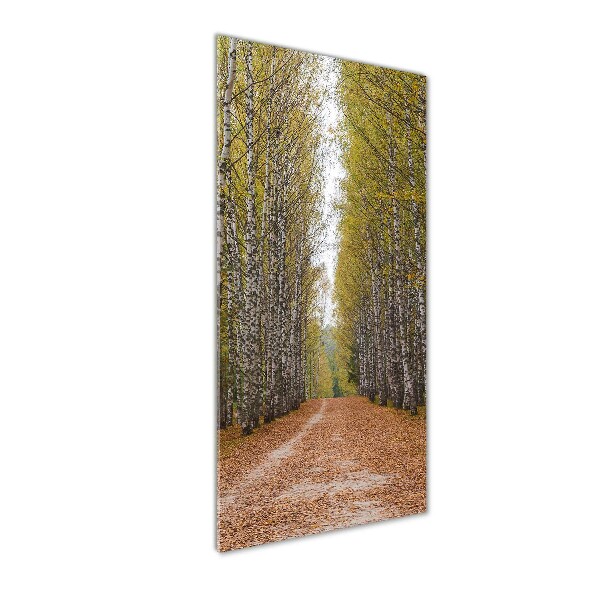 Quadro in vetro acrilico verticale Foresta di betulle