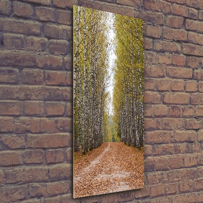 Quadro in vetro acrilico verticale Foresta di betulle