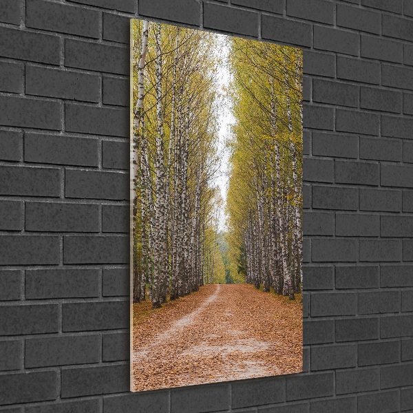 Quadro in vetro acrilico verticale Foresta di betulle