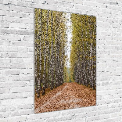 Quadro in vetro acrilico verticale Foresta di betulle