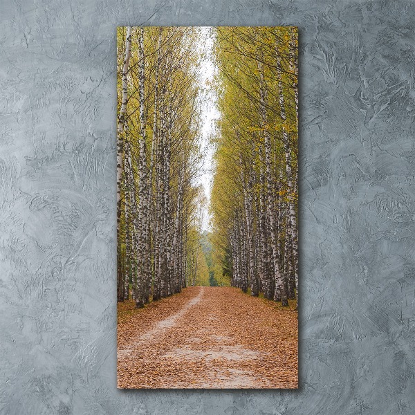 Quadro in vetro acrilico verticale Foresta di betulle