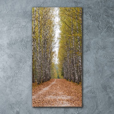 Quadro in vetro acrilico verticale Foresta di betulle