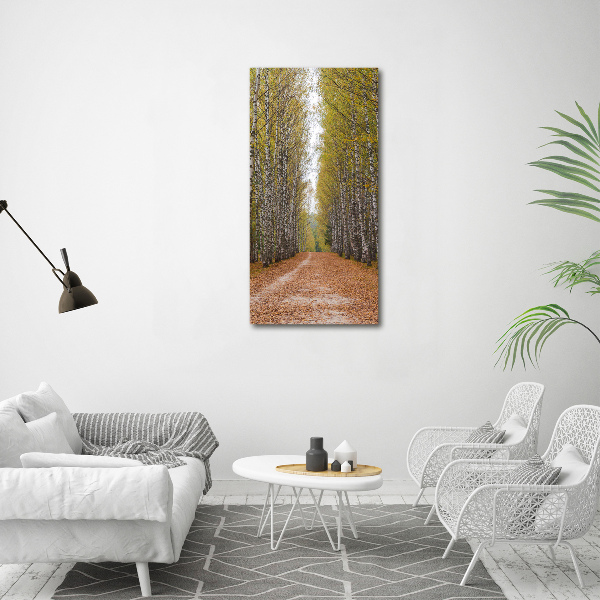 Quadro in vetro acrilico verticale Foresta di betulle