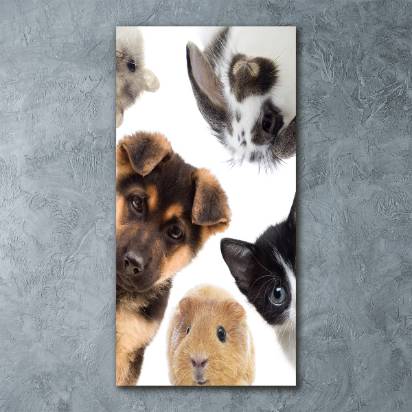 Quadro in vetro acrilico verticale Animali domestici
