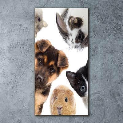 Quadro in vetro acrilico verticale Animali domestici