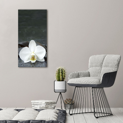 Quadro in vetro acrilico verticale Pietre Orchidea