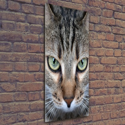 Quadro acrilico verticale Occhi di gatto
