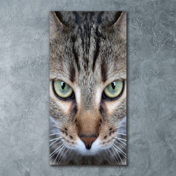Quadro acrilico verticale Occhi di gatto