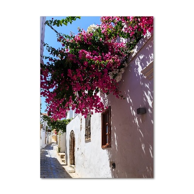 Quadro stampa su vetro acrilico verticale Rodi, Grecia