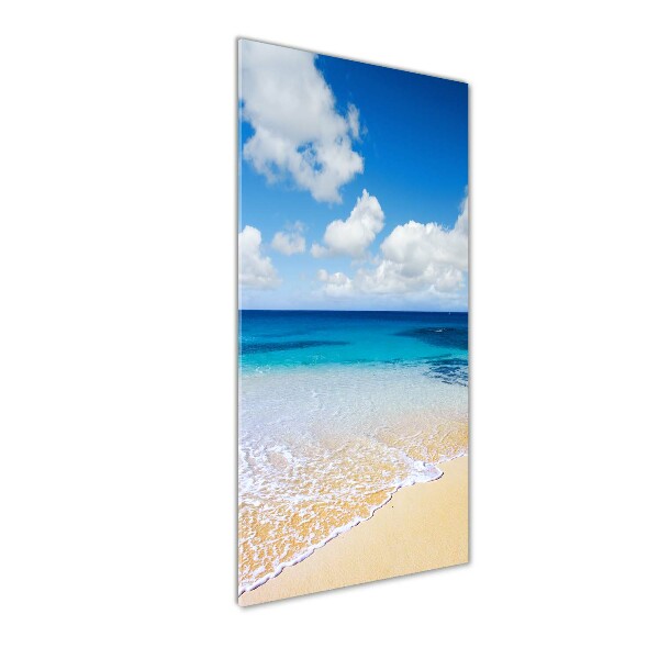 Quadro vetro acrilico verticale Spiaggia tropicale