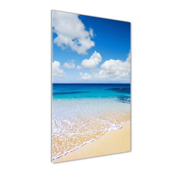 Quadro vetro acrilico verticale Spiaggia tropicale