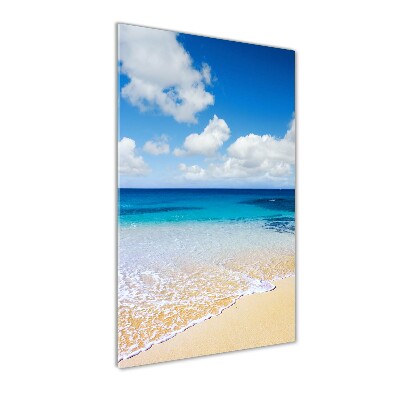 Quadro vetro acrilico verticale Spiaggia tropicale