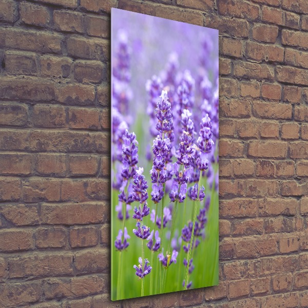 Quadro acrilico verticale Campo di lavanda