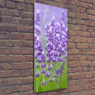 Quadro acrilico verticale Campo di lavanda