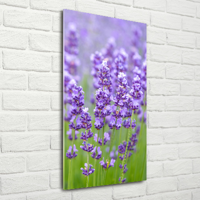 Quadro acrilico verticale Campo di lavanda