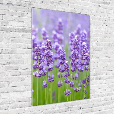 Quadro acrilico verticale Campo di lavanda