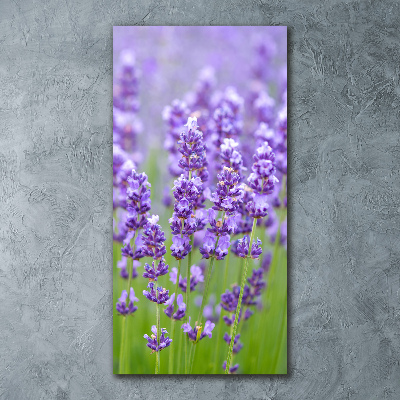 Quadro acrilico verticale Campo di lavanda