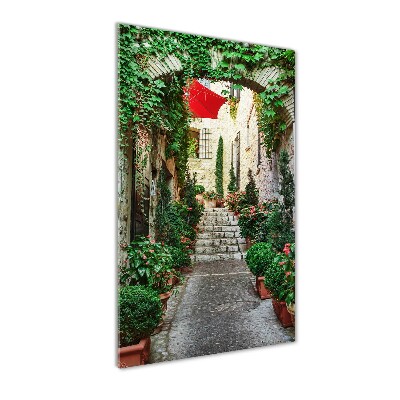 Quadro in vetro acrilico verticale Le strade di Francia