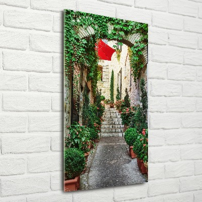 Quadro in vetro acrilico verticale Le strade di Francia