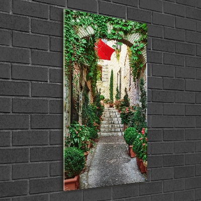 Quadro in vetro acrilico verticale Le strade di Francia