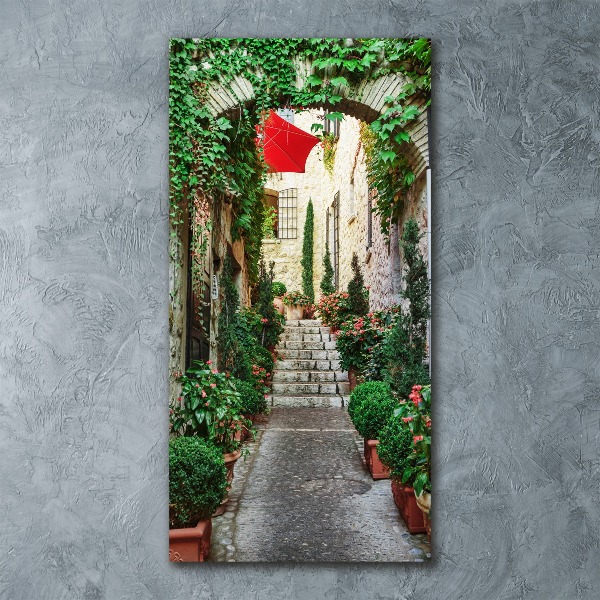 Quadro in vetro acrilico verticale Le strade di Francia