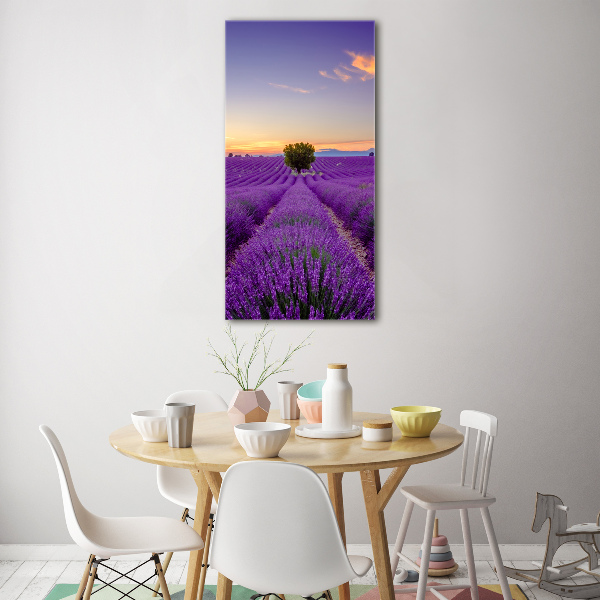 Quadro vetro acrilico verticale Campo di lavanda