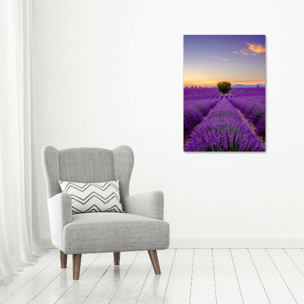Quadro vetro acrilico verticale Campo di lavanda