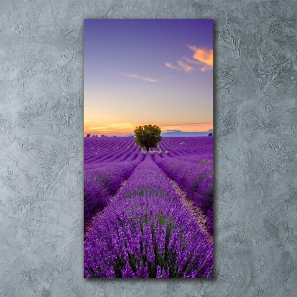 Quadro vetro acrilico verticale Campo di lavanda