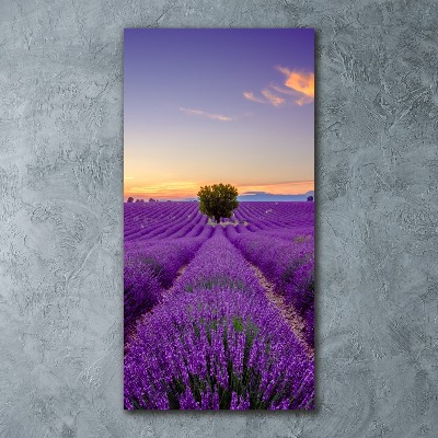 Quadro vetro acrilico verticale Campo di lavanda
