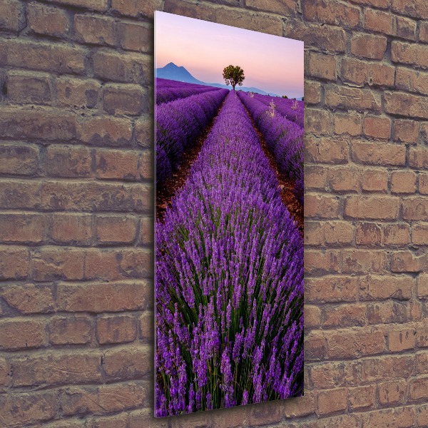 Quadro stampa su vetro acrilico verticale Campo di lavanda