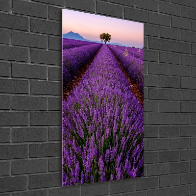Quadro stampa su vetro acrilico verticale Campo di lavanda