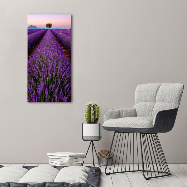 Quadro stampa su vetro acrilico verticale Campo di lavanda