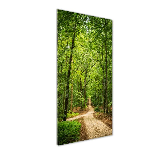 Quadro acrilico verticale Sentiero nella foresta