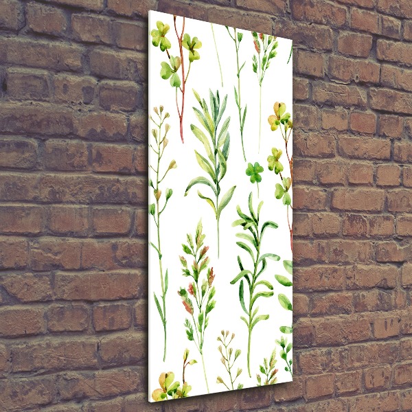 Quadro stampa su vetro acrilico verticale Erbacce ed erbe aromatiche