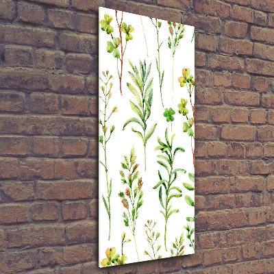 Quadro stampa su vetro acrilico verticale Erbacce ed erbe aromatiche