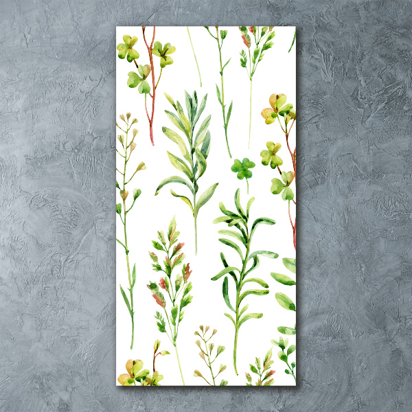 Quadro stampa su vetro acrilico verticale Erbacce ed erbe aromatiche